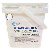 Chisel Dap La Ghien - Fine Sculpting Acrylic Powder American White 5lbs