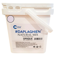 Chisel Dap La Ghien - Fine Sculpting Acrylic Powder Natural Mix 5lbs